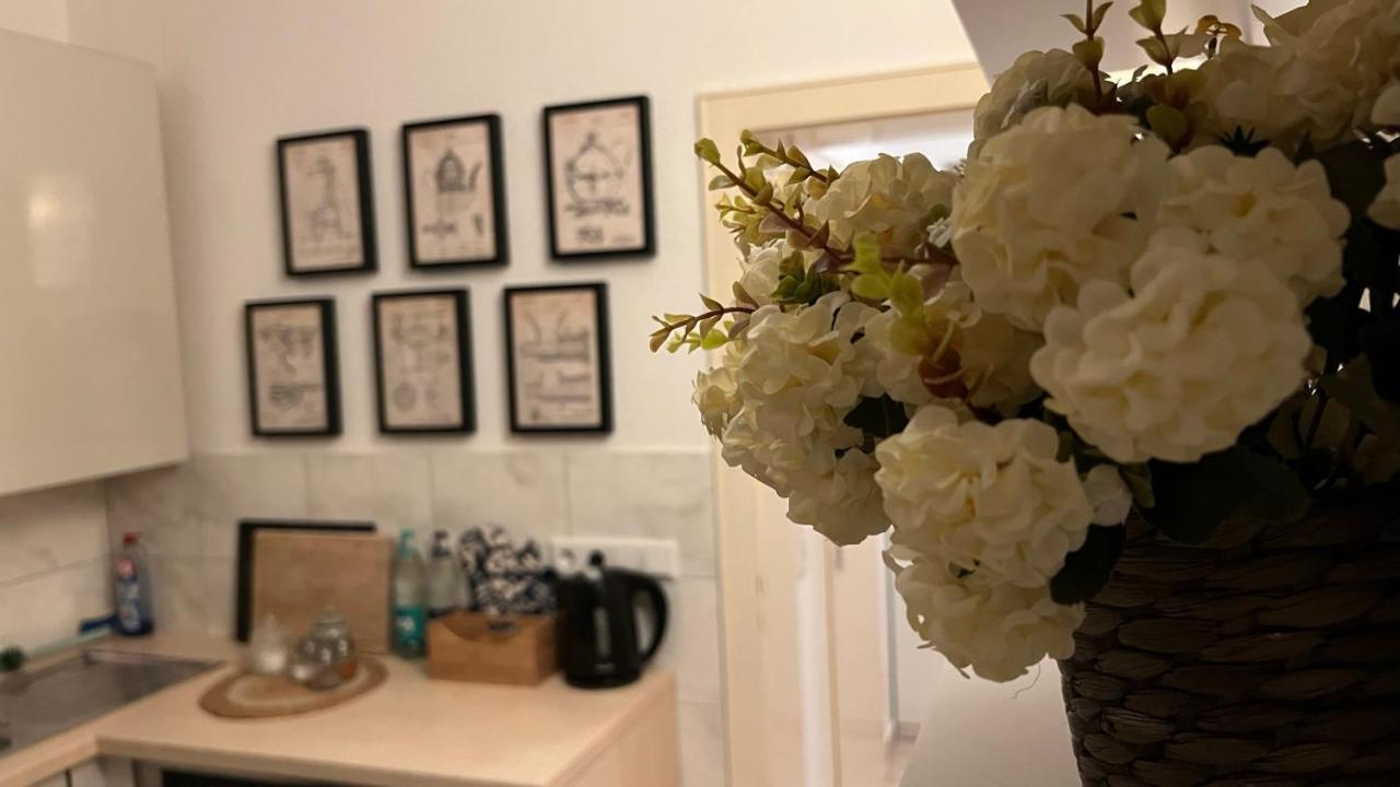 Designerwohnung Afrika Sehr Zentral Gelegen ハノーファー エクステリア 写真